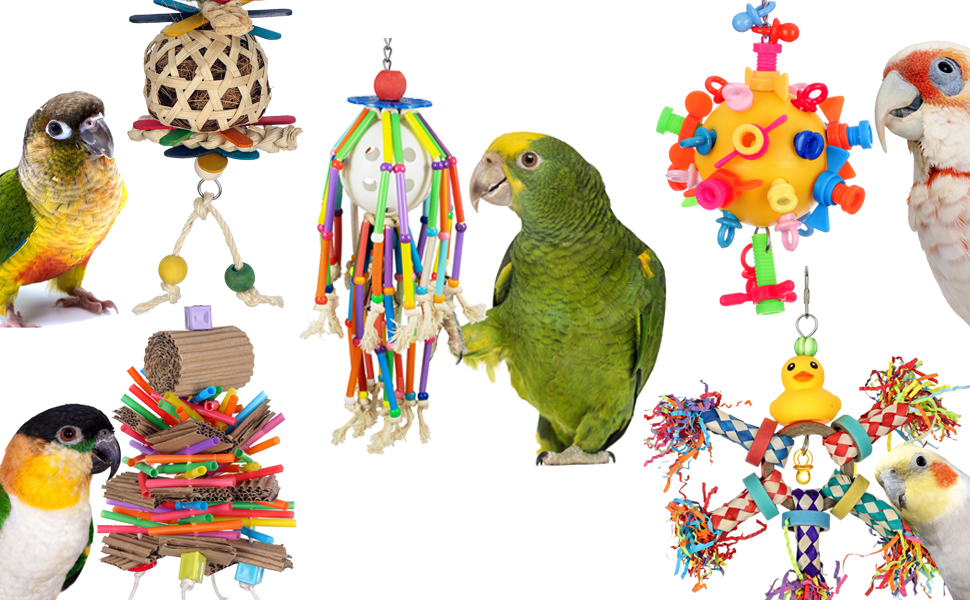 Bird Toys, Bird Toys Supplies, perches, swings and much more. Super ...